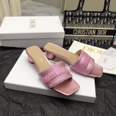 Christian Dior Slippers